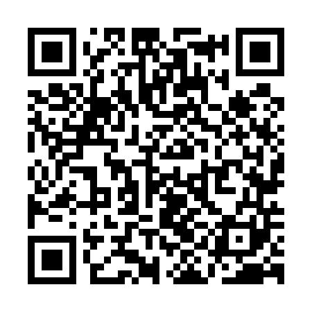 QR code for QIN541