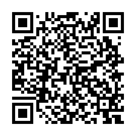 QR code for QIQ393