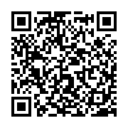 QR code for QIR911