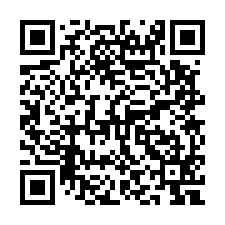 QR code for QIS595