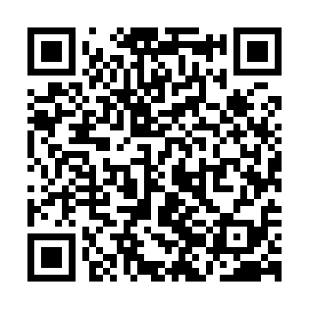 QR code for QJM919