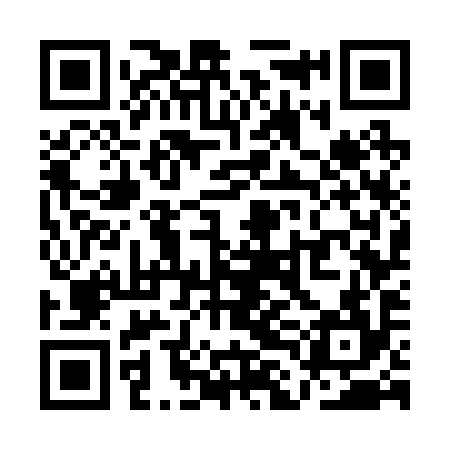 QR code for QLG294
