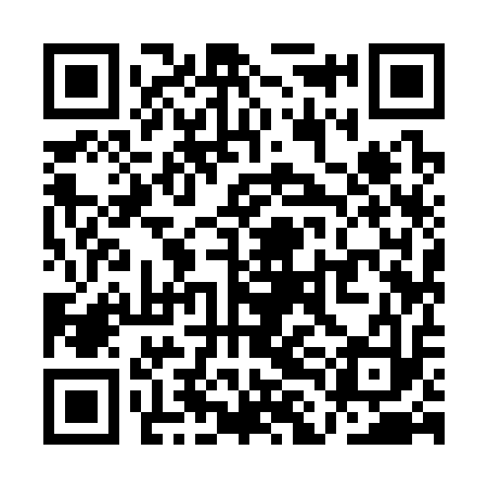 QR code for QLI313