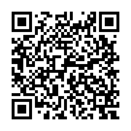 QR code for QLK196