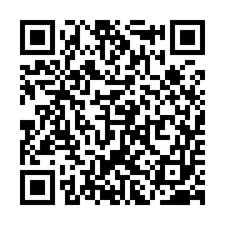 QR code for QLS953
