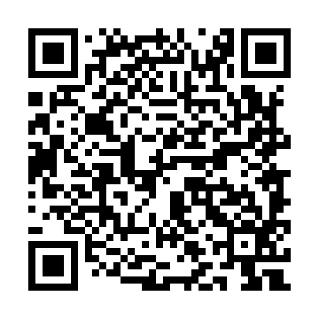 QR code for QLT996