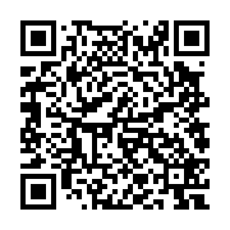 QR code for QMV029