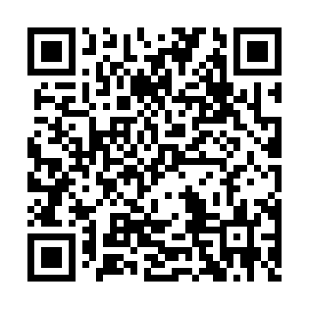 QR code for QNO383