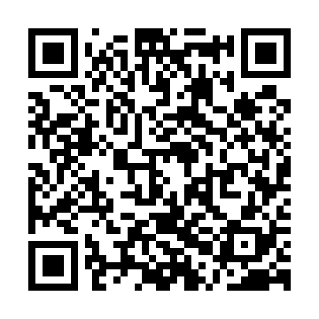 QR code for QPG528