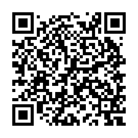QR code for QPU293
