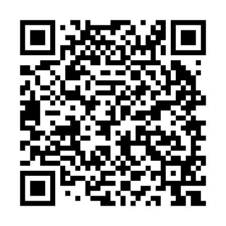 QR code for QQZ294