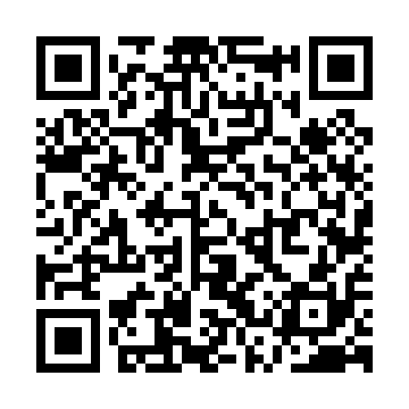 QR code for QSV010