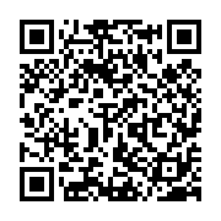 QR code for QTN411