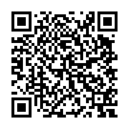 QR code for QXZ411