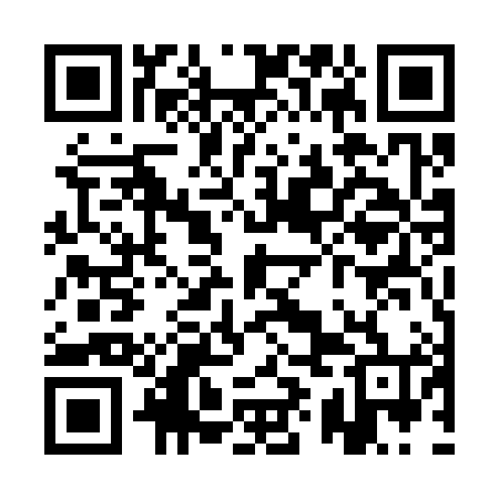 QR code for QYE384