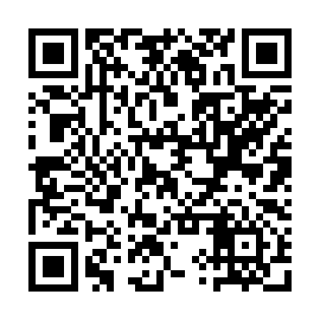 QR code for QYR296