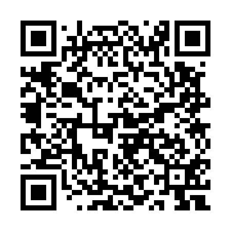 QR code for QYS511