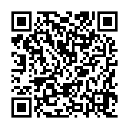 QR code for QZH987