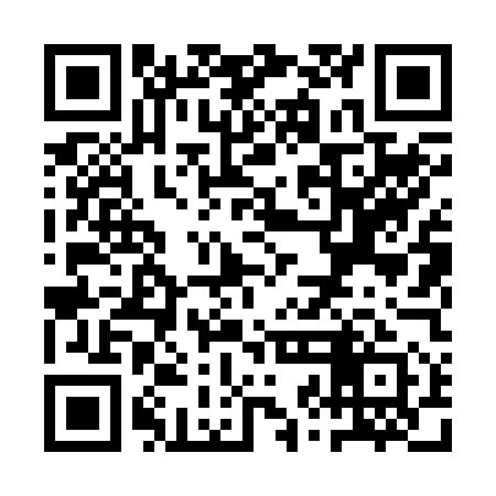 QR code for QZL251