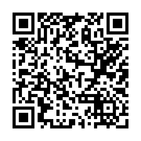 QR code for QZL296