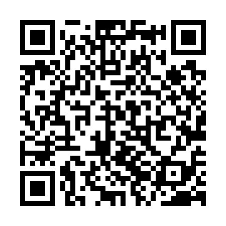 QR code for QZL719