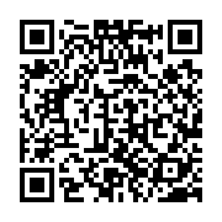 QR code for QZL728