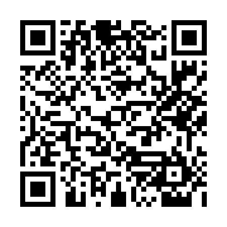 QR code for QZN655