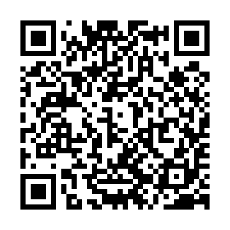 QR code for QZS590
