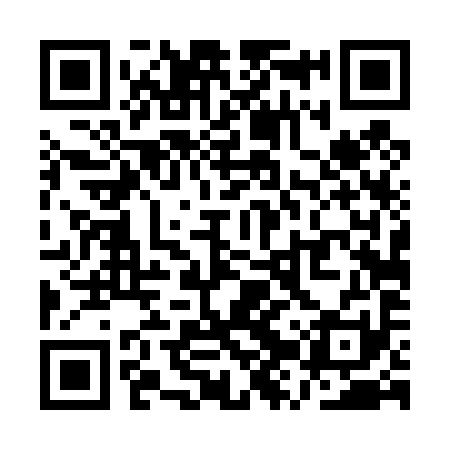 QR code for QZT491