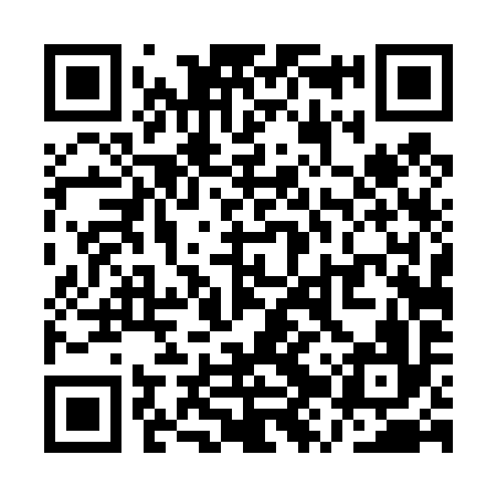 QR code for QZT496