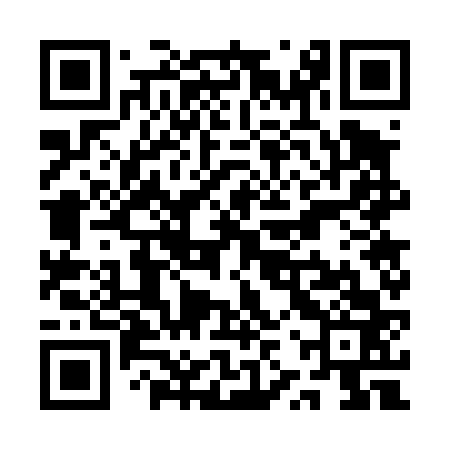 QR code for QZW463