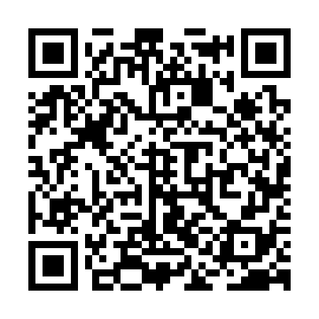 QR code for RAF378