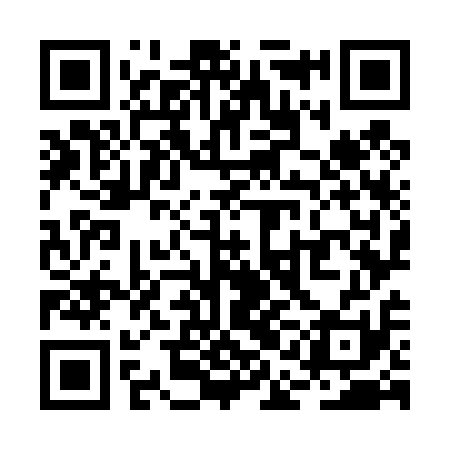 QR code for RAO411