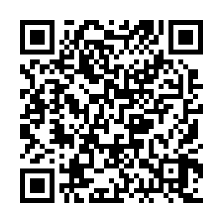 QR code for RAY208