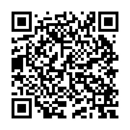 QR code for RAY249
