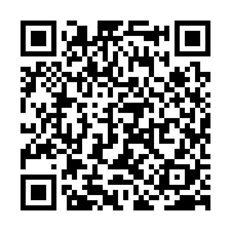 QR code for RAY328