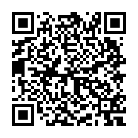 QR code for RAY611