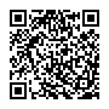 QR code for RDH493