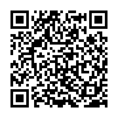 QR code for RDI311