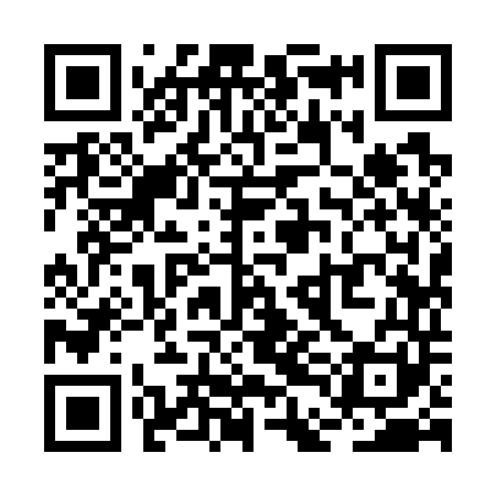 QR code for RDI741