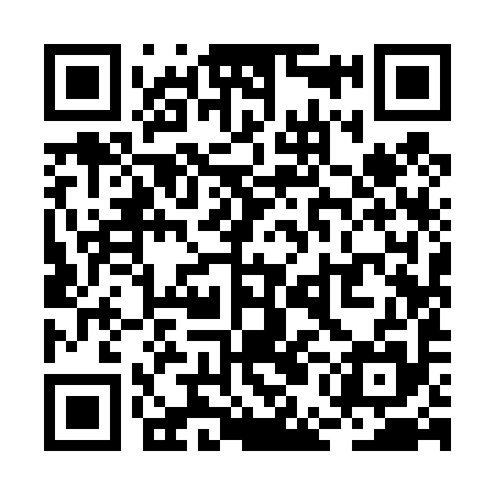 QR code for REI495