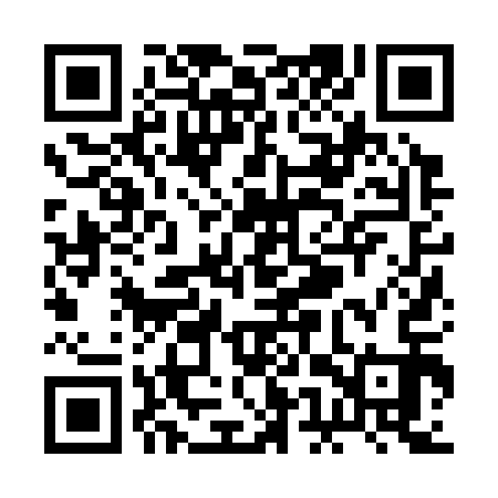 QR code for REZ313