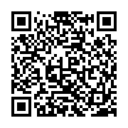 QR code for RFI333