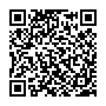 QR code for RIF497