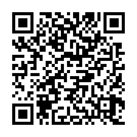 QR code for RIN728