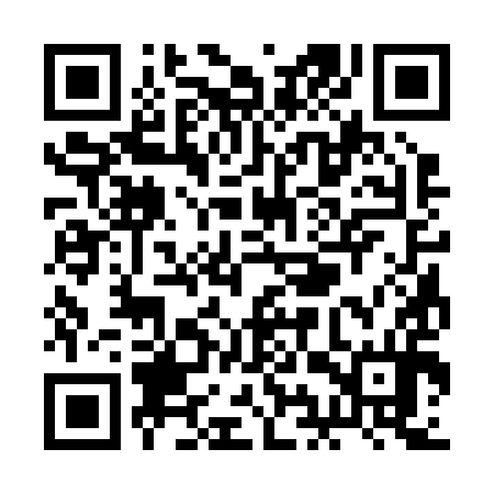 QR code for RIS294