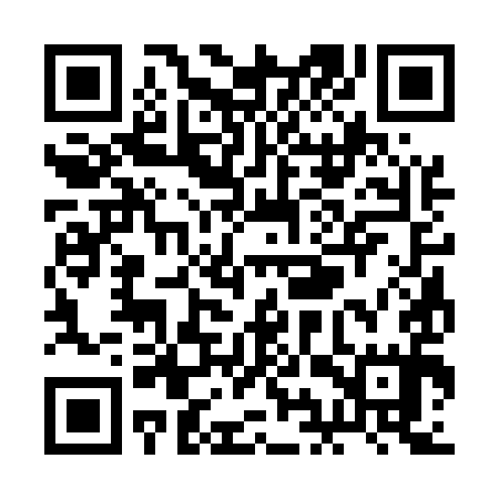QR code for RIS595