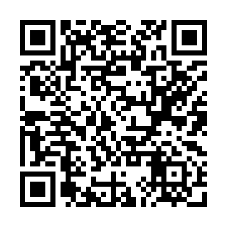 QR code for RIZ991