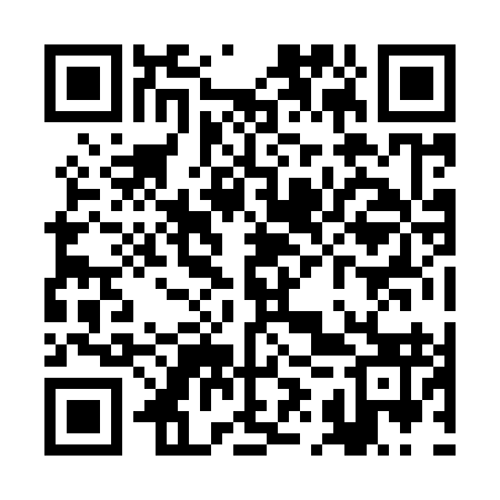 QR code for RIZ993