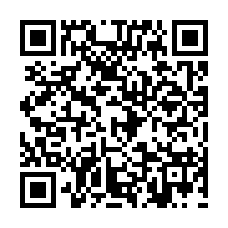 QR code for RLN393